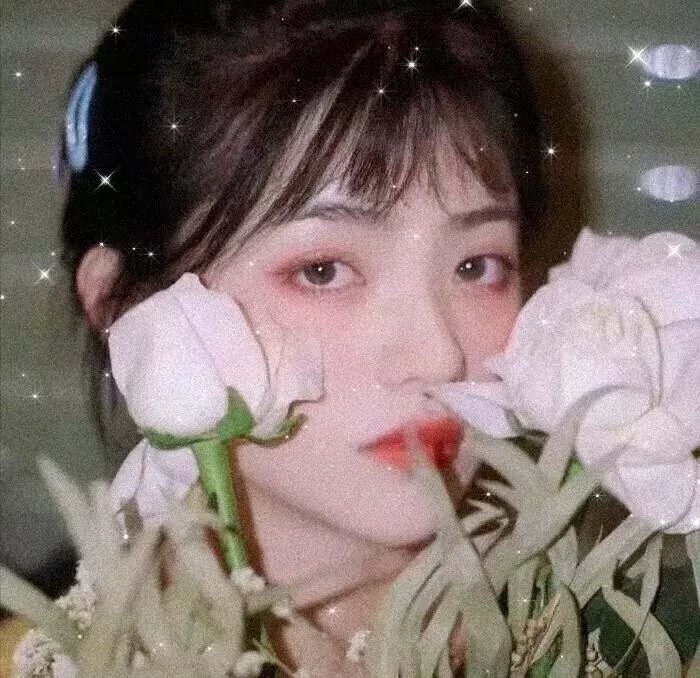 莎莉玛大冒险
