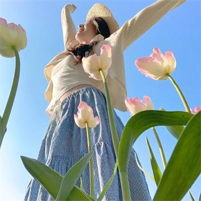 机械西游