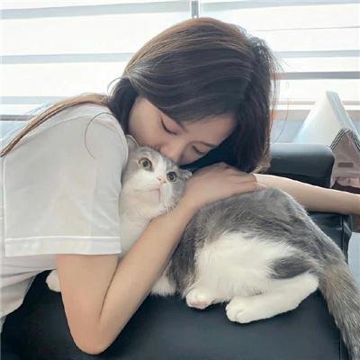 一条狗的回家路